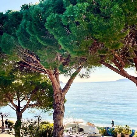 Appartement Les Pieds Dans L'Eau A Cavaliere Le Lavandou Luaran gambar