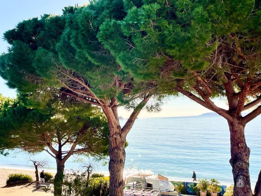 Appartement Les Pieds Dans L'Eau A Cavaliere Le Lavandou Luaran gambar